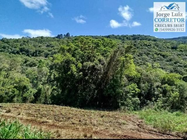 Sítio e chácara venda em Região Geográfica Imediata de Caxias do Sul, Nova Petrópolis