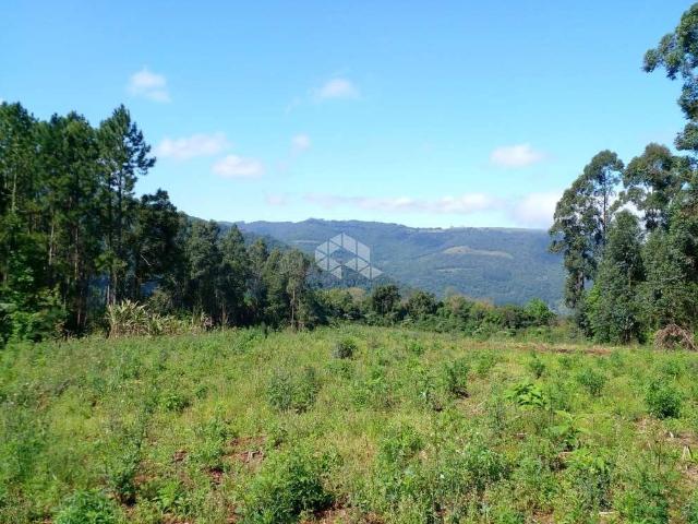 Sítio e chácara venda em Região Geográfica Imediata de Caxias do Sul, Nova Petrópolis