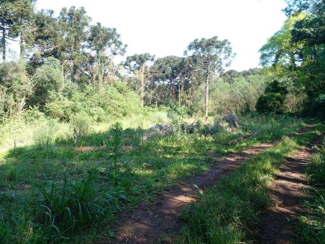 Sítio e chácara venda em Região Geográfica Imediata de Caxias do Sul, Nova Petrópolis