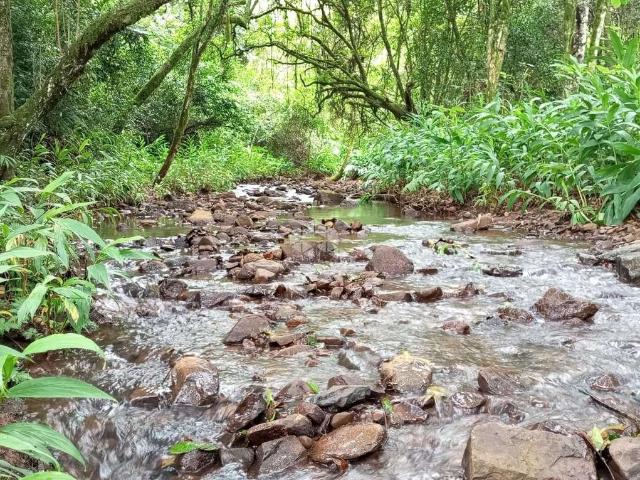 Sítio e chácara venda em Região Geográfica Imediata de Caxias do Sul, Nova Petrópolis