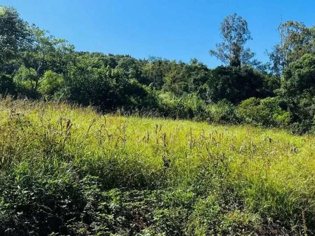 Sítio e chácara venda em Região Geográfica Imediata de Caxias do Sul, Nova Petrópolis