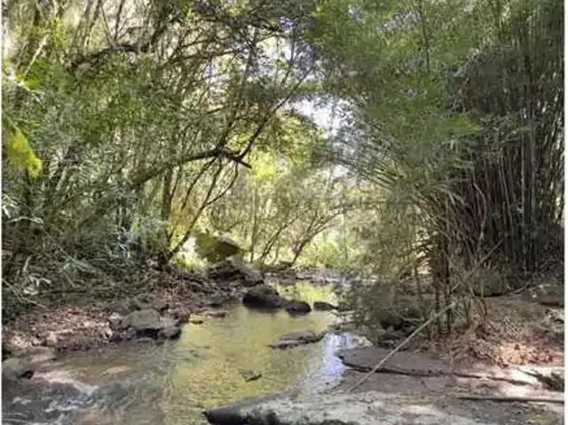 Sítio e chácara venda em Região Geográfica Imediata de Caxias do Sul, Nova Petrópolis