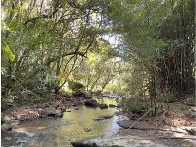 Sítio e chácara venda em Região Geográfica Imediata de Caxias do Sul, Nova Petrópolis