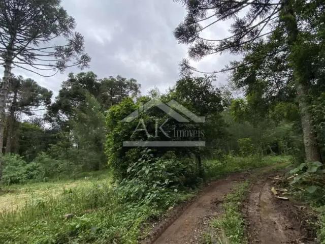 Sítio e chácara venda em Região Geográfica Imediata de Caxias do Sul, Nova Petrópolis