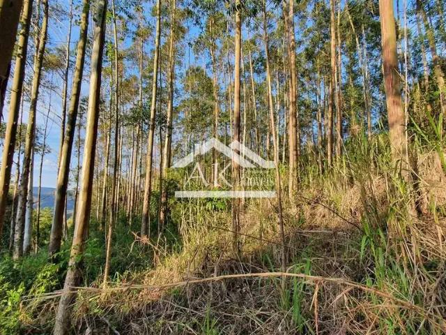 Sítio e chácara venda em Região Geográfica Imediata de Caxias do Sul, Nova Petrópolis