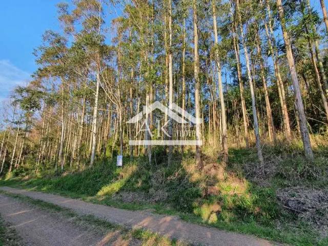 Sítio e chácara venda em Região Geográfica Imediata de Caxias do Sul, Nova Petrópolis