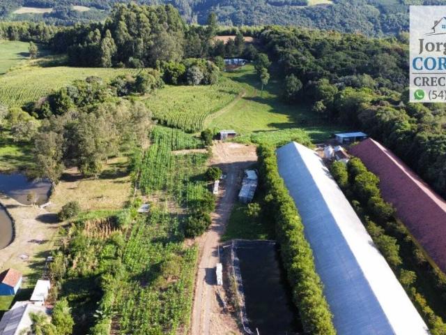 Sítio e chácara venda em Região Geográfica Imediata de Caxias do Sul, Nova Petrópolis