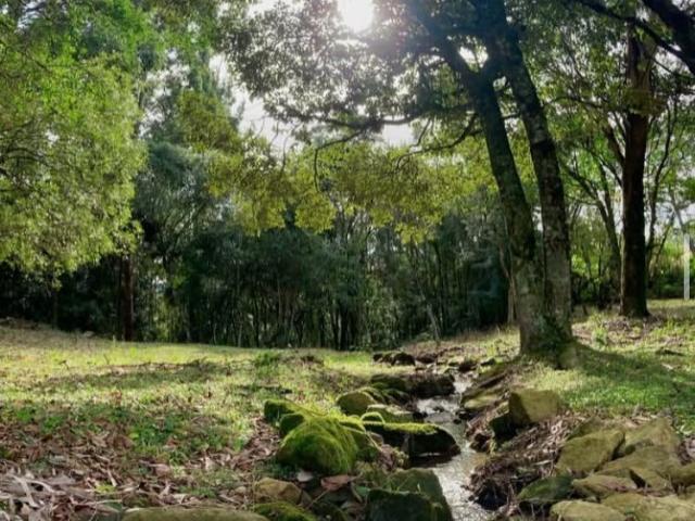 Sítio e chácara venda em Região Geográfica Imediata de Caxias do Sul, Nova Petrópolis
