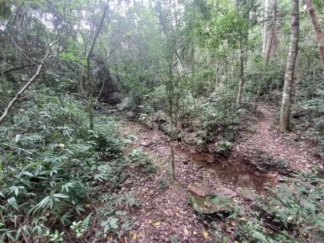 Sítio e chácara venda em Região Geográfica Imediata de Caxias do Sul, Nova Petrópolis