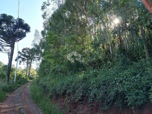 Sítio e chácara venda em Região Geográfica Imediata de Caxias do Sul, Nova Petrópolis