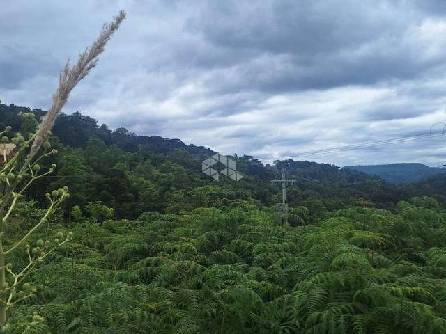 Sítio e chácara venda em Região Geográfica Imediata de Caxias do Sul, Nova Petrópolis