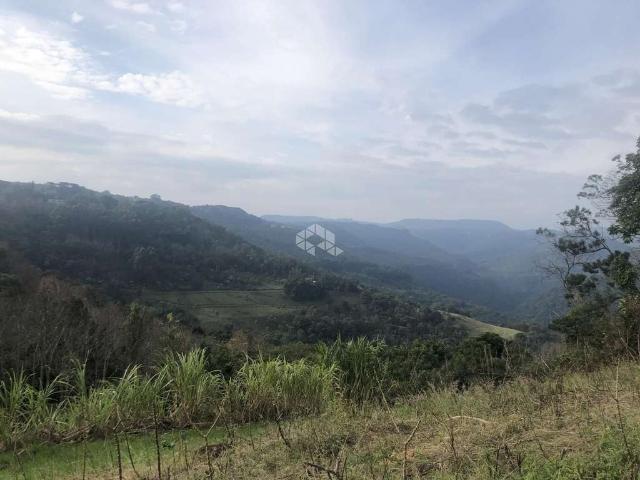 Sítio e chácara venda em Nova Petrópolis