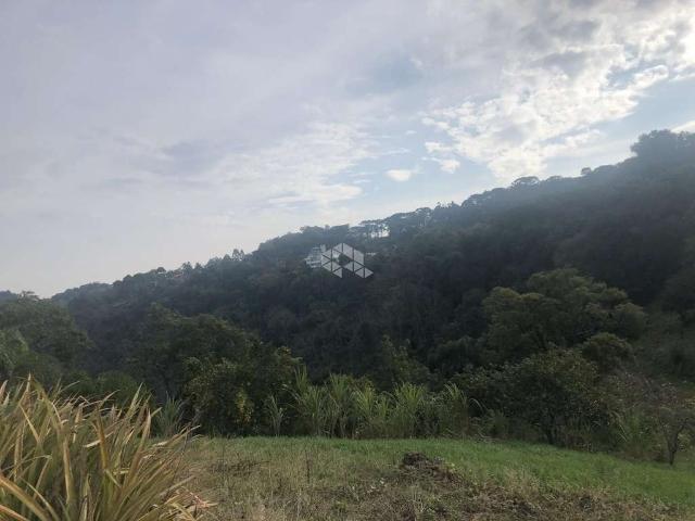 Sítio e chácara venda em Região Geográfica Imediata de Caxias do Sul, Nova Petrópolis