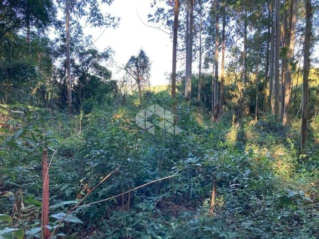 Sítio e chácara venda em Região Geográfica Imediata de Manaus, Itamarati
