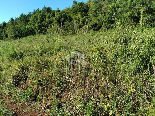 Sítio e chácara venda em Nova Petrópolis