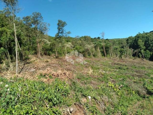 Sítio e chácara venda em Região Geográfica Imediata de Caxias do Sul, Nova Petrópolis