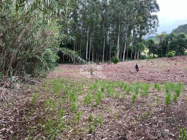 Sítio e chácara venda em Região Geográfica Imediata de Manaus, Itamarati