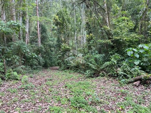 Sítio e chácara venda em Região Geográfica Imediata de Manaus, Itamarati