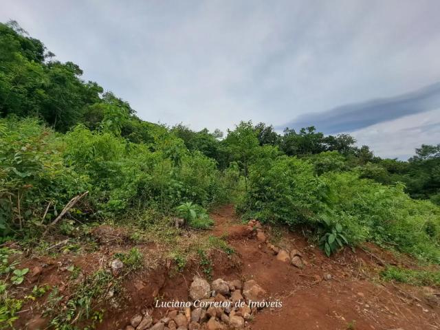 Sítio e chácara venda em Região Geográfica Imediata de Caxias do Sul, Nova Petrópolis