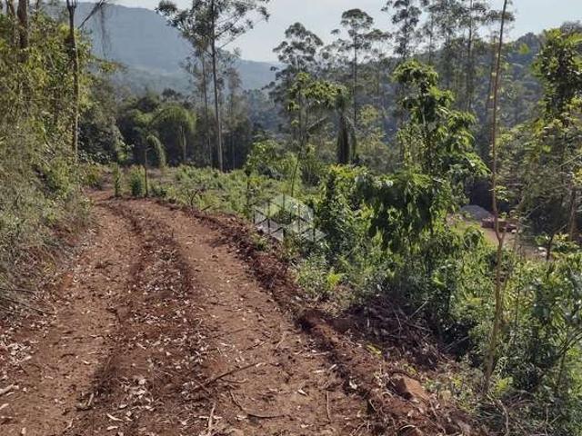 Sítio e chácara venda em Região Geográfica Imediata de Caxias do Sul, Nova Petrópolis