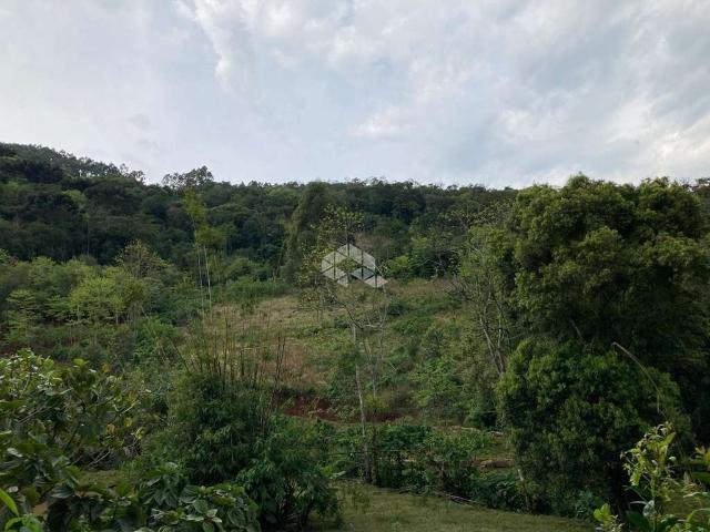 Sítio e chácara venda em Região Geográfica Imediata de Manaus, Itamarati