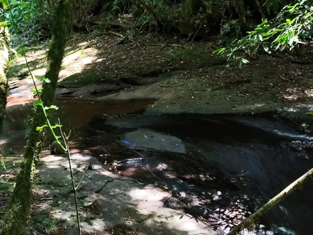 Sítio e chácara venda em Região Geográfica Imediata de Caxias do Sul, Nova Petrópolis