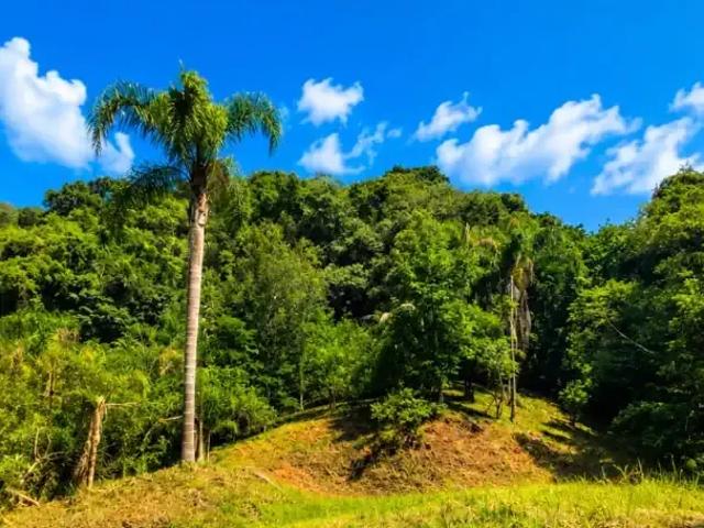 Sítio e chácara venda em Região Geográfica Imediata de Caxias do Sul, Nova Petrópolis