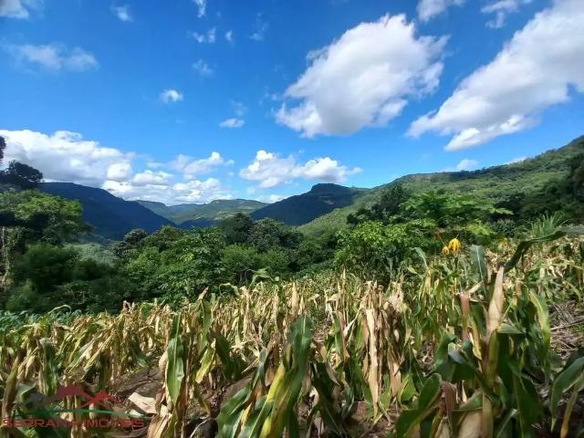 Sítio e chácara venda em Região Geográfica Imediata de Caxias do Sul, Nova Petrópolis
