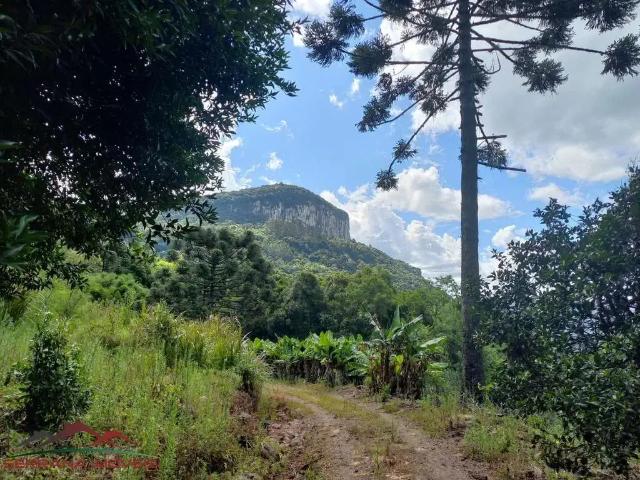 Sítio e chácara venda em Região Geográfica Imediata de Caxias do Sul, Nova Petrópolis
