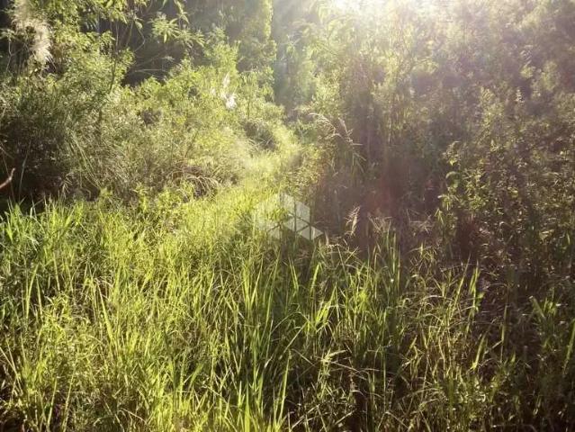 Sítio e chácara venda em Região Geográfica Imediata de Caxias do Sul, Nova Petrópolis