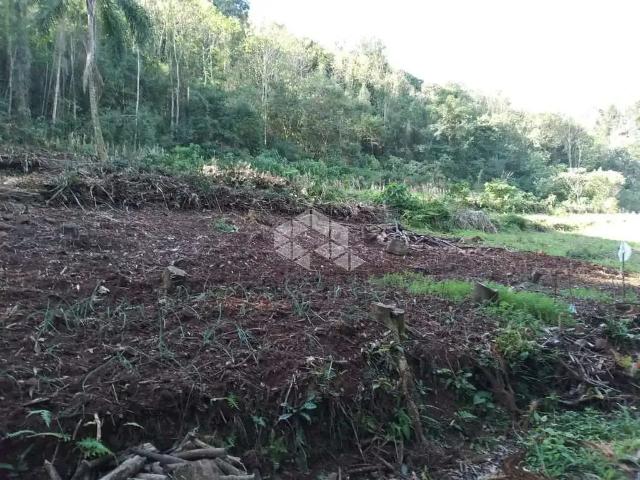 Sítio e chácara venda em Região Geográfica Imediata de Caxias do Sul, Nova Petrópolis