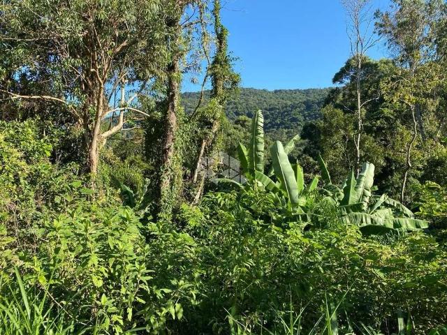 Sítio e chácara venda em Região Geográfica Imediata de Caxias do Sul, Nova Petrópolis