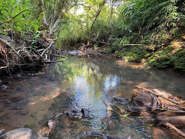 Sítio e chácara venda em Região Geográfica Imediata de Caxias do Sul, Nova Petrópolis