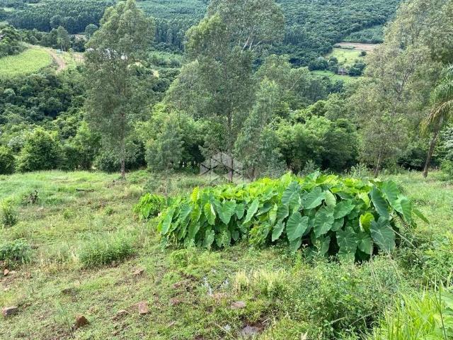 Sítio e chácara venda em Região Geográfica Imediata de Caxias do Sul, Nova Petrópolis