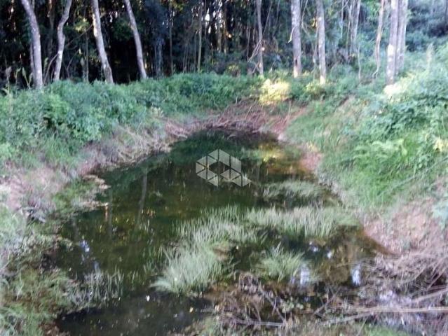 Sítio e chácara venda em Região Geográfica Imediata de Caxias do Sul, Nova Petrópolis