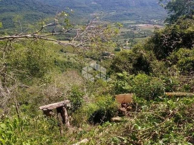 Sítio e chácara venda em Região Geográfica Imediata de Caxias do Sul, Nova Petrópolis