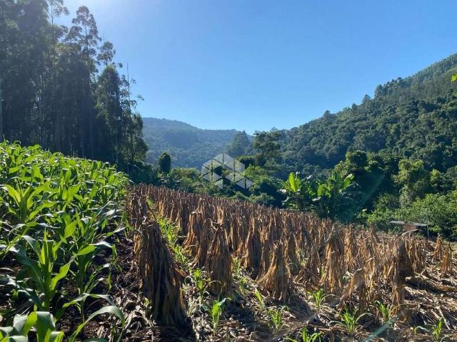 Sítio e chácara venda em Região Geográfica Imediata de Caxias do Sul, Nova Petrópolis