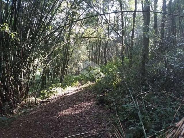 Sítio e chácara venda em Região Geográfica Imediata de Caxias do Sul, Nova Petrópolis