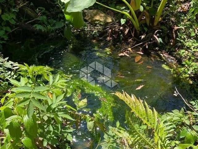 Sítio e chácara venda em Região Geográfica Imediata de Caxias do Sul, Nova Petrópolis