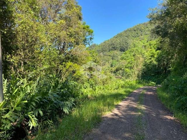 Sítio e chácara venda em Região Geográfica Imediata de Caxias do Sul, Nova Petrópolis