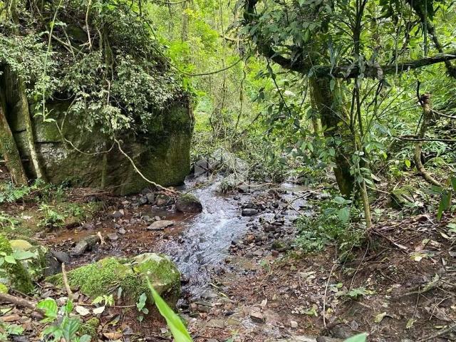 Sítio e chácara venda em Região Geográfica Imediata de Caxias do Sul, Nova Petrópolis