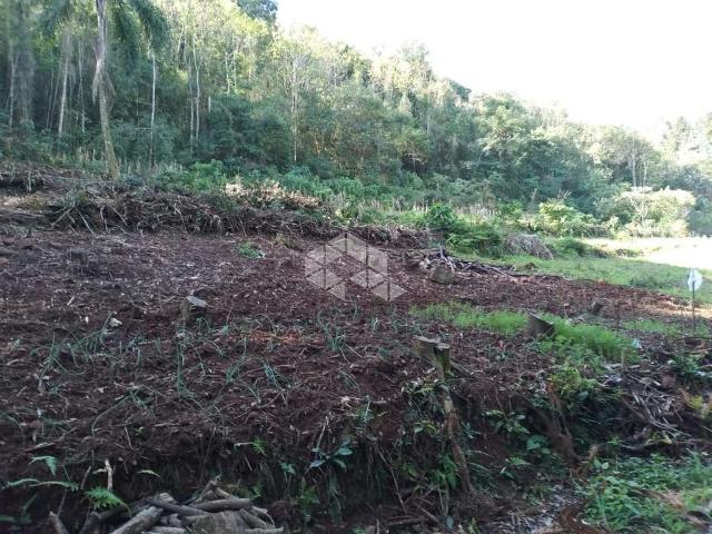 Sítio e chácara venda em Região Geográfica Imediata de Caxias do Sul, Nova Petrópolis