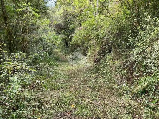 Sítio e chácara venda em Região Geográfica Imediata de Caxias do Sul, Nova Petrópolis