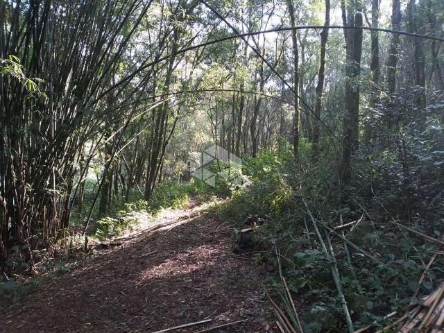Sítio e chácara venda em Região Geográfica Imediata de Caxias do Sul, Nova Petrópolis