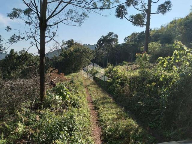 Sítio e chácara venda em Região Geográfica Imediata de Caxias do Sul, Nova Petrópolis
