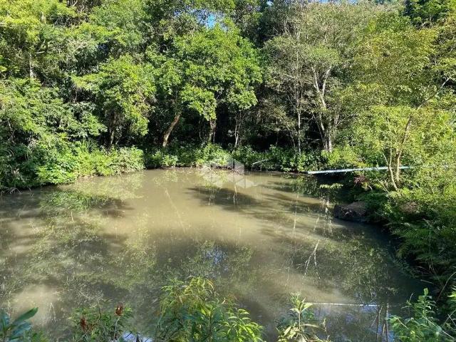 Sítio e chácara venda em Região Geográfica Imediata de Caxias do Sul, Nova Petrópolis
