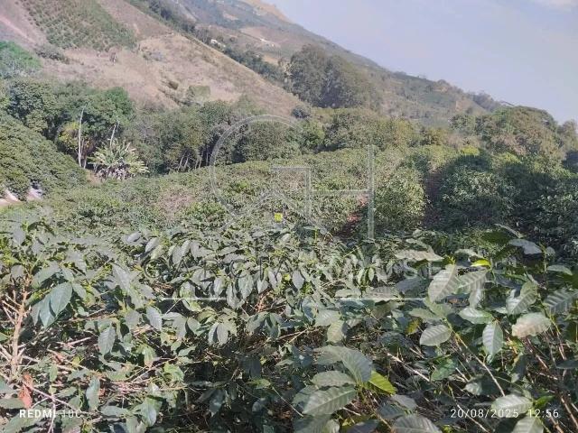 Sítio e chácara venda em Nova Resende, Região Geográfica Intermediária de Varginha