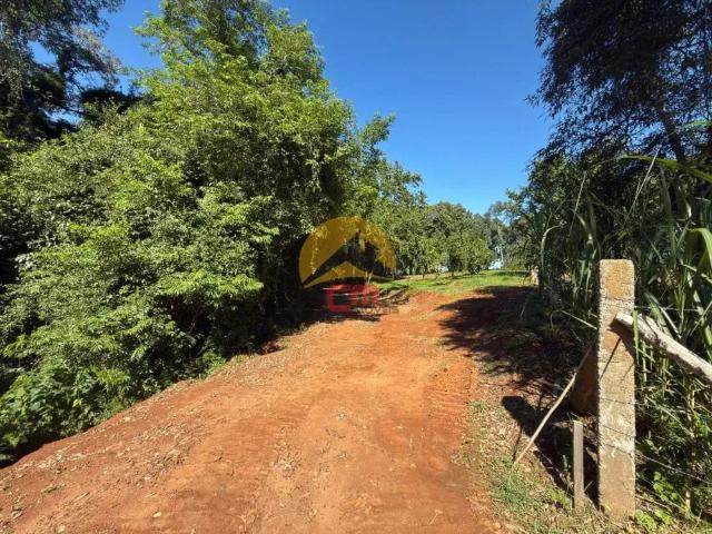 Sítio e chácara venda em Região Geográfica Imediata de Porto Alegre, Região Metropolitana de Porto Alegre
