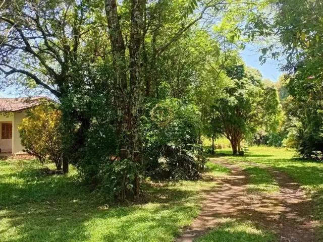 Sítio e chácara venda em Região Geográfica Imediata de Porto Alegre, Região Metropolitana de Porto Alegre