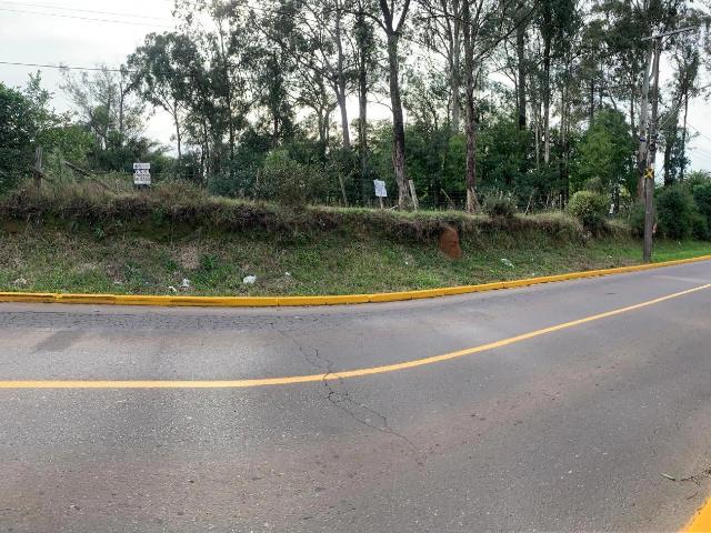 Sítio e chácara venda em Nova Santa Rita, Região Geográfica Intermediária de Porto Alegre